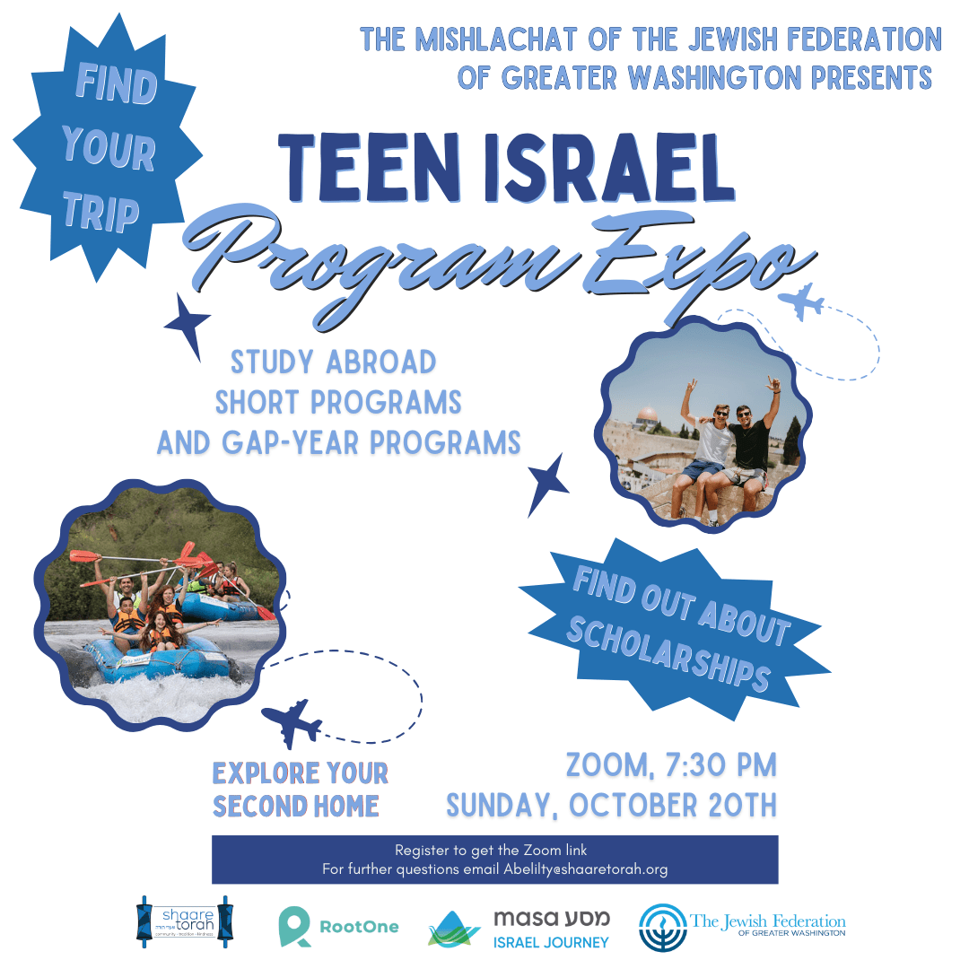 teen israel program expo zoom event
